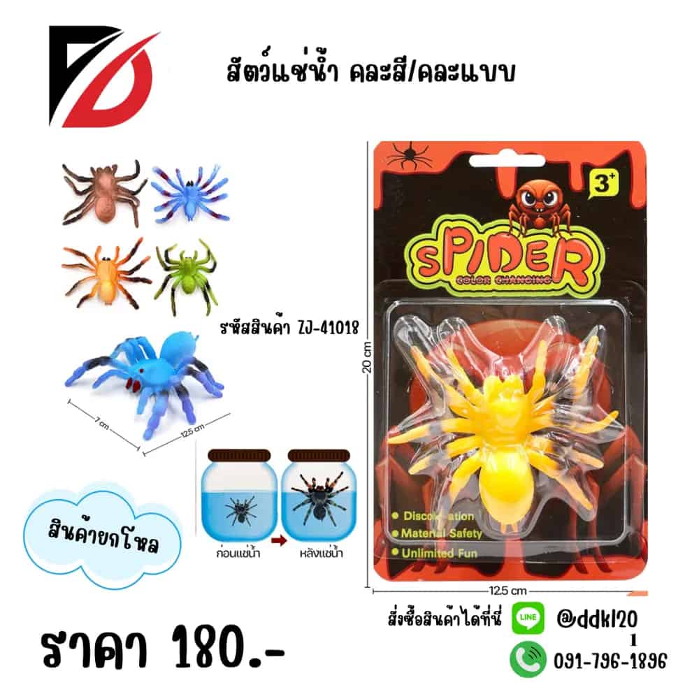 โมเดลสัตว์ (แช่น้ำ)