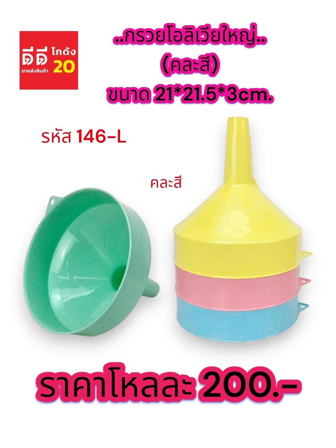 กรวยโอลิเวียใหญ่