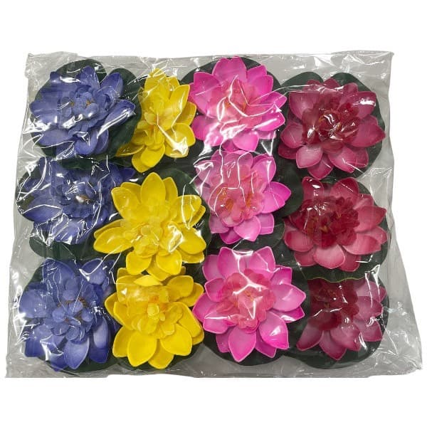 ดอกบัวลอยน้ำ 10 ซม. (ดอกบาน) 1