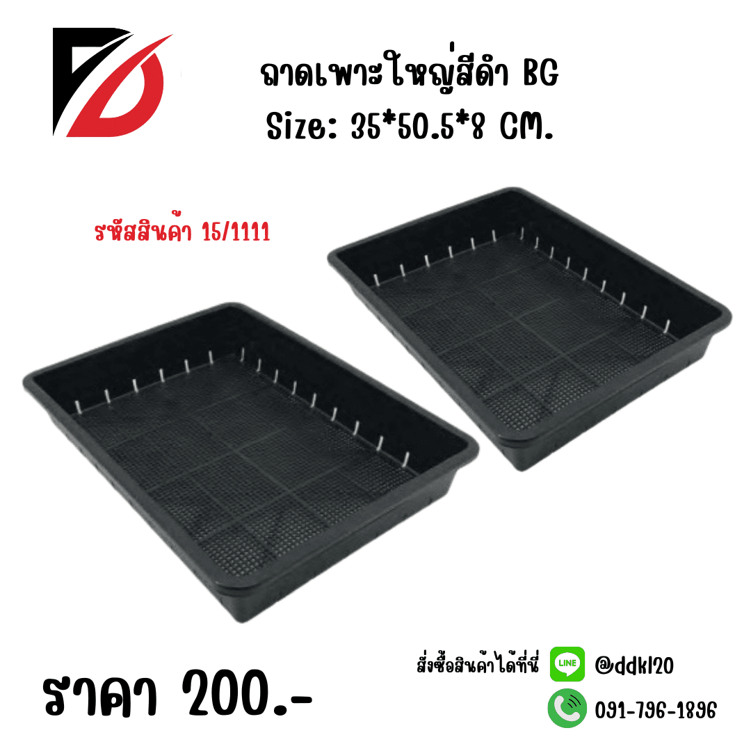 ถาดเพาะใหญ่สีดำ BG 1