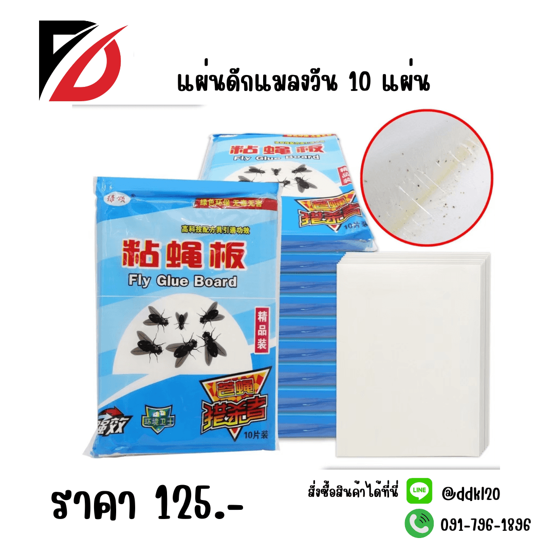 แผ่นดักแมลงวัน 10แผ่น 1